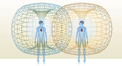 The body's donut-shape electromagnetic field.